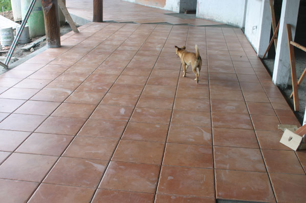 tiles