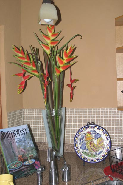 13.heliconia