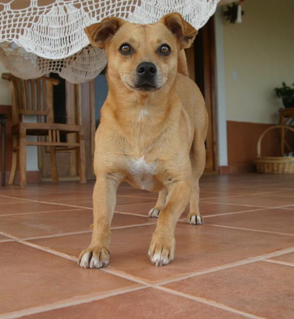 16.bobo