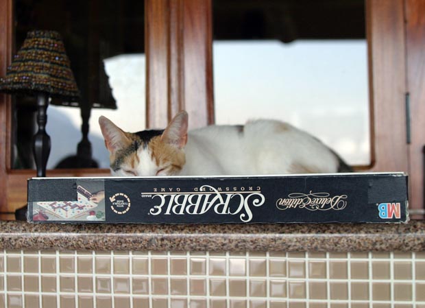 27.tipper_scrabble