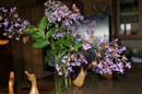 12.orchid