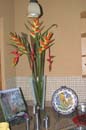 13.heliconia