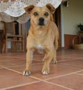 16.bobo