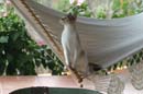 18.roxie_hammock