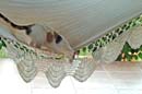 19.roxie_hammock2