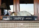 27.tipper_scrabble