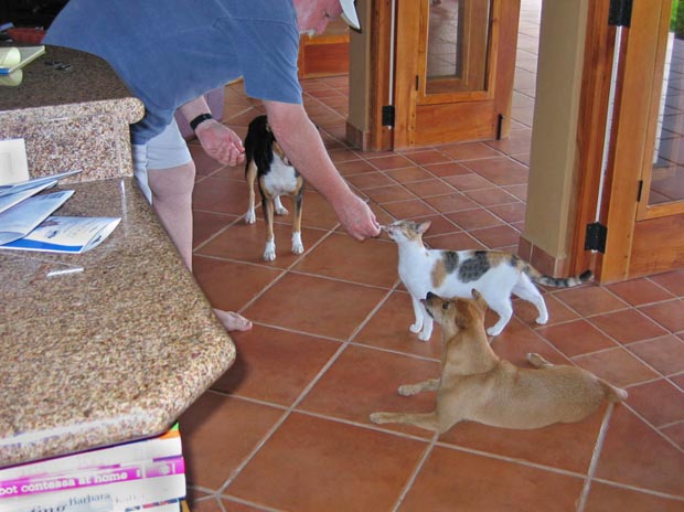08.feeding1