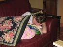 20c.leeah_sleeping