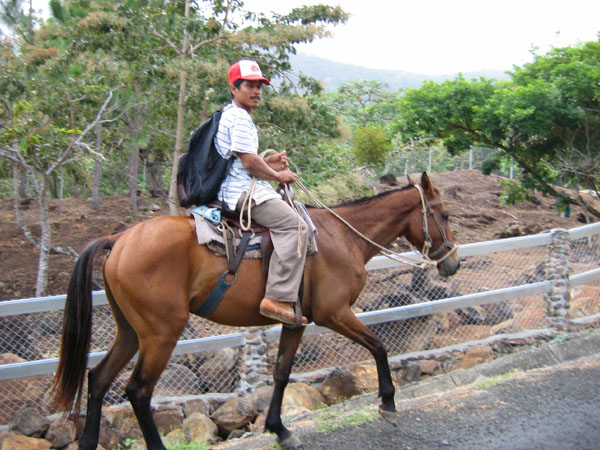 horse_rider.jpg 