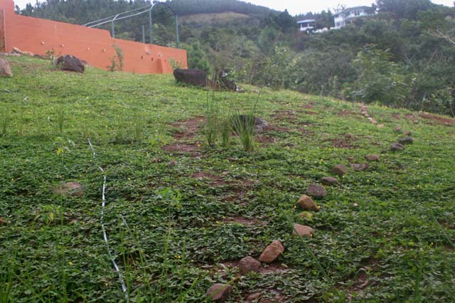 09