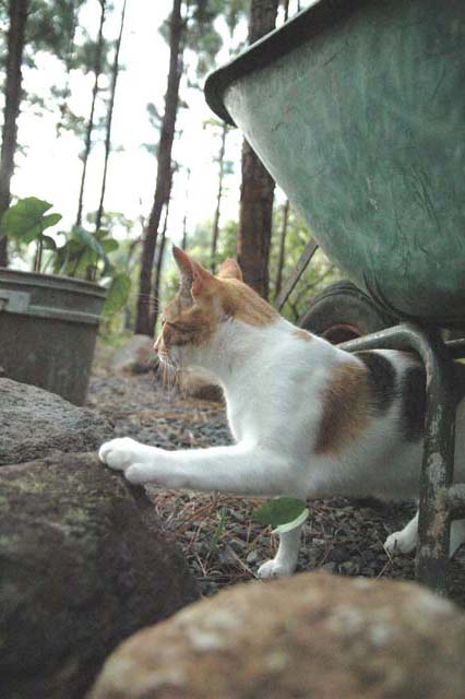 09