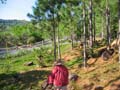 walk01a