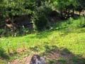 walk13
