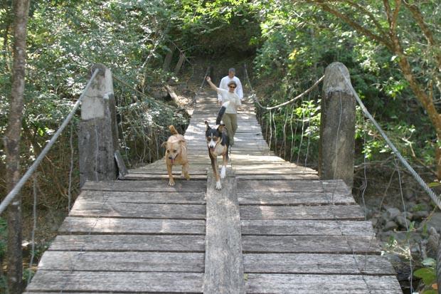 17.river_trail9a