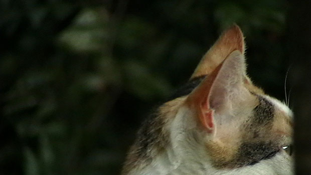 jan08-01