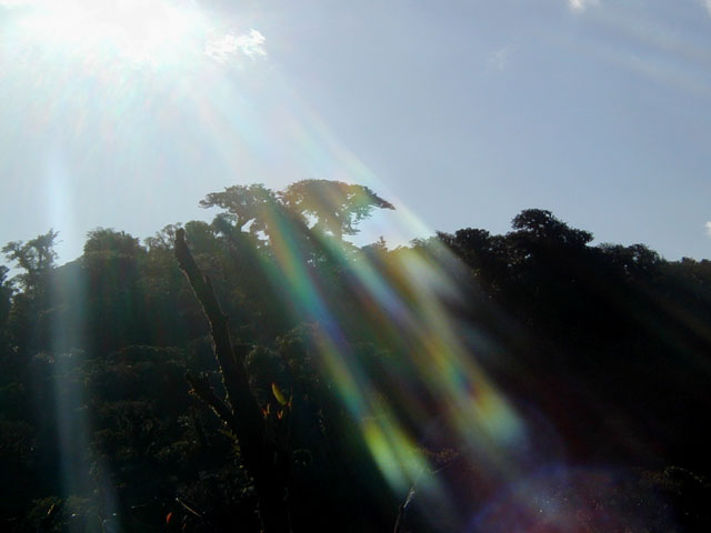 P1010040