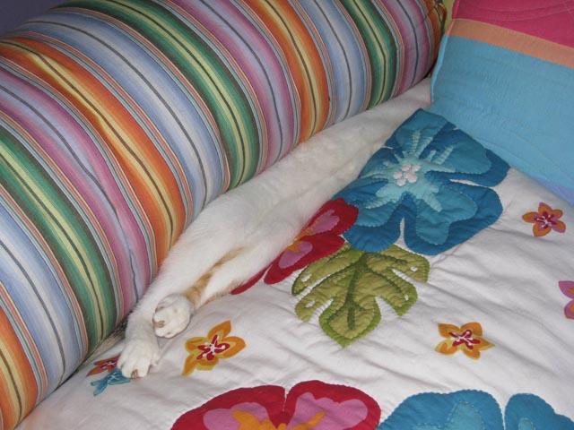 pillow_2