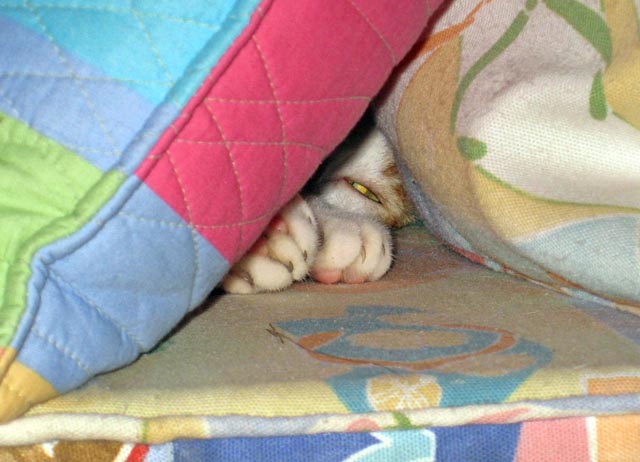 pillow_3