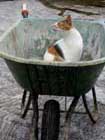 walkabout_02