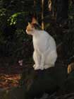 walkabout_05