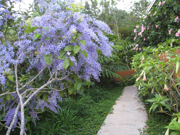 flowers_02