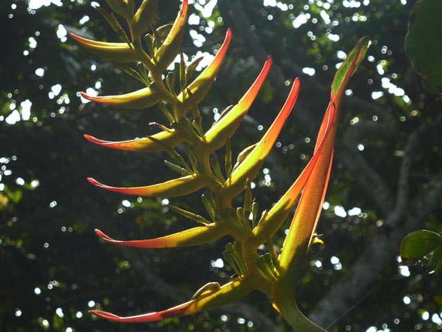 P1010663