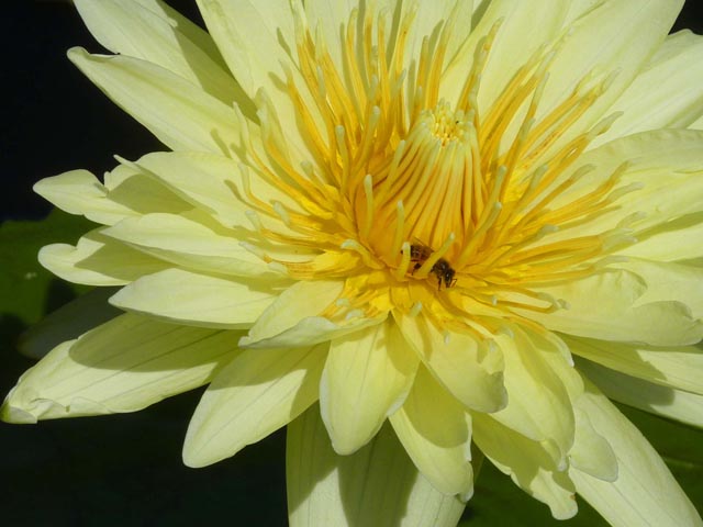 P1010674