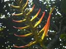 P1010663