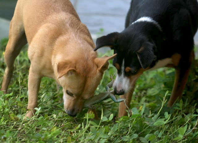 2008_BOB_0754