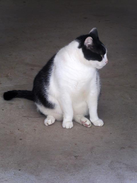 09