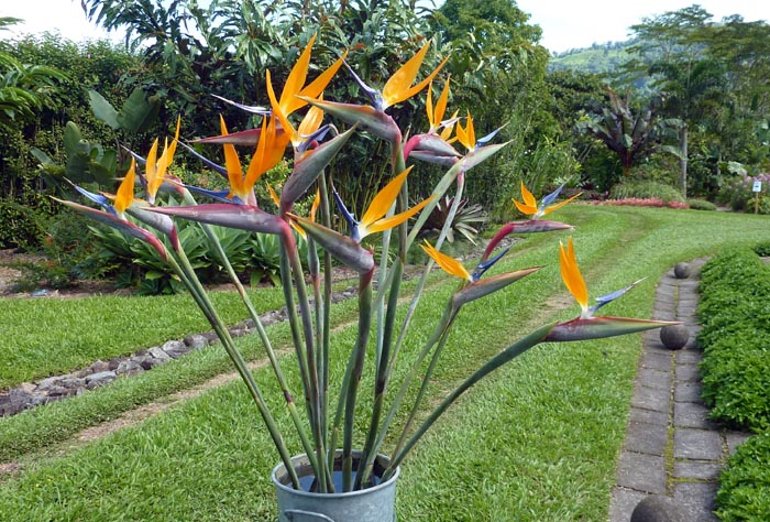 P1040289