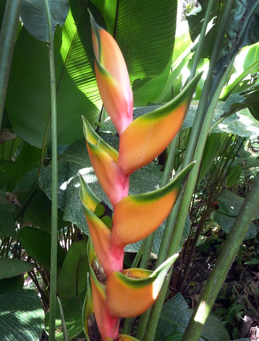 P1040300