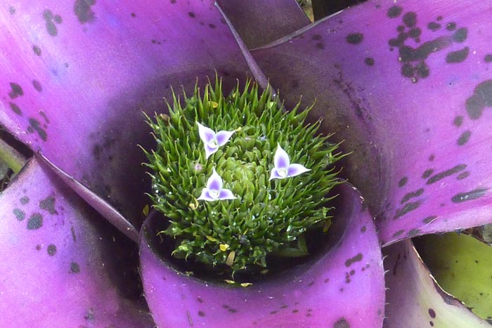 P1040318
