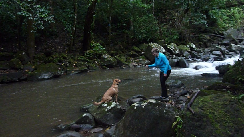 ribo_swimming